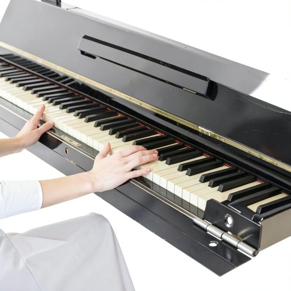 Xyembu Silver Piano Hinges Door Mount-6