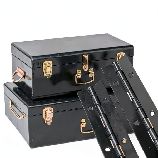 Continuous Piano Hinge LOYORTY Metal Black 16in-5