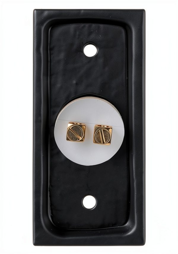A29 Black Powder Coated Wired Doorbell Button 2.5" x 1.125" Cast Iron-1